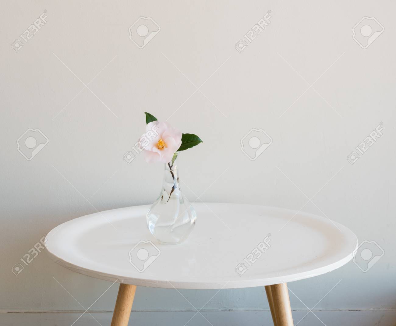 Single Pale Pink Camellia In Small Glass Vase On Round White
