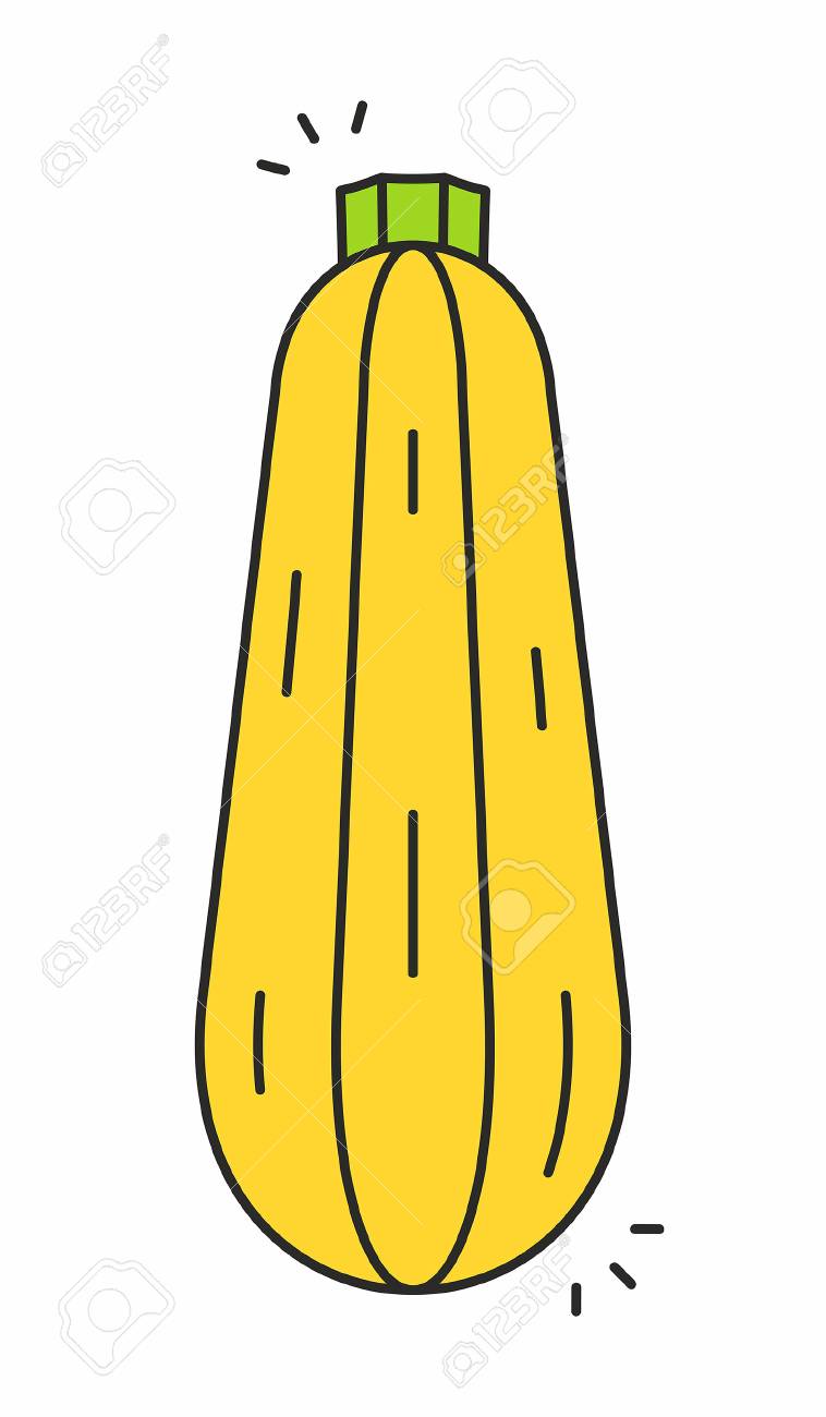 ズッキーニのアイコンのイラスト素材 ベクタ Image 7505