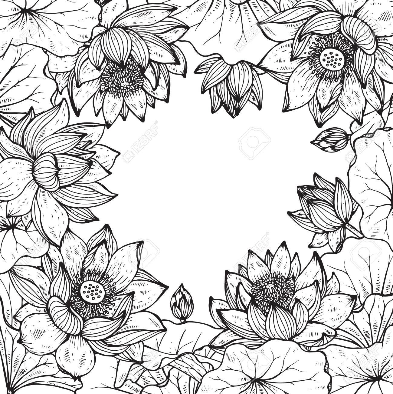 蓮の花のフレームを美しいモノクロ ベクトルは花し