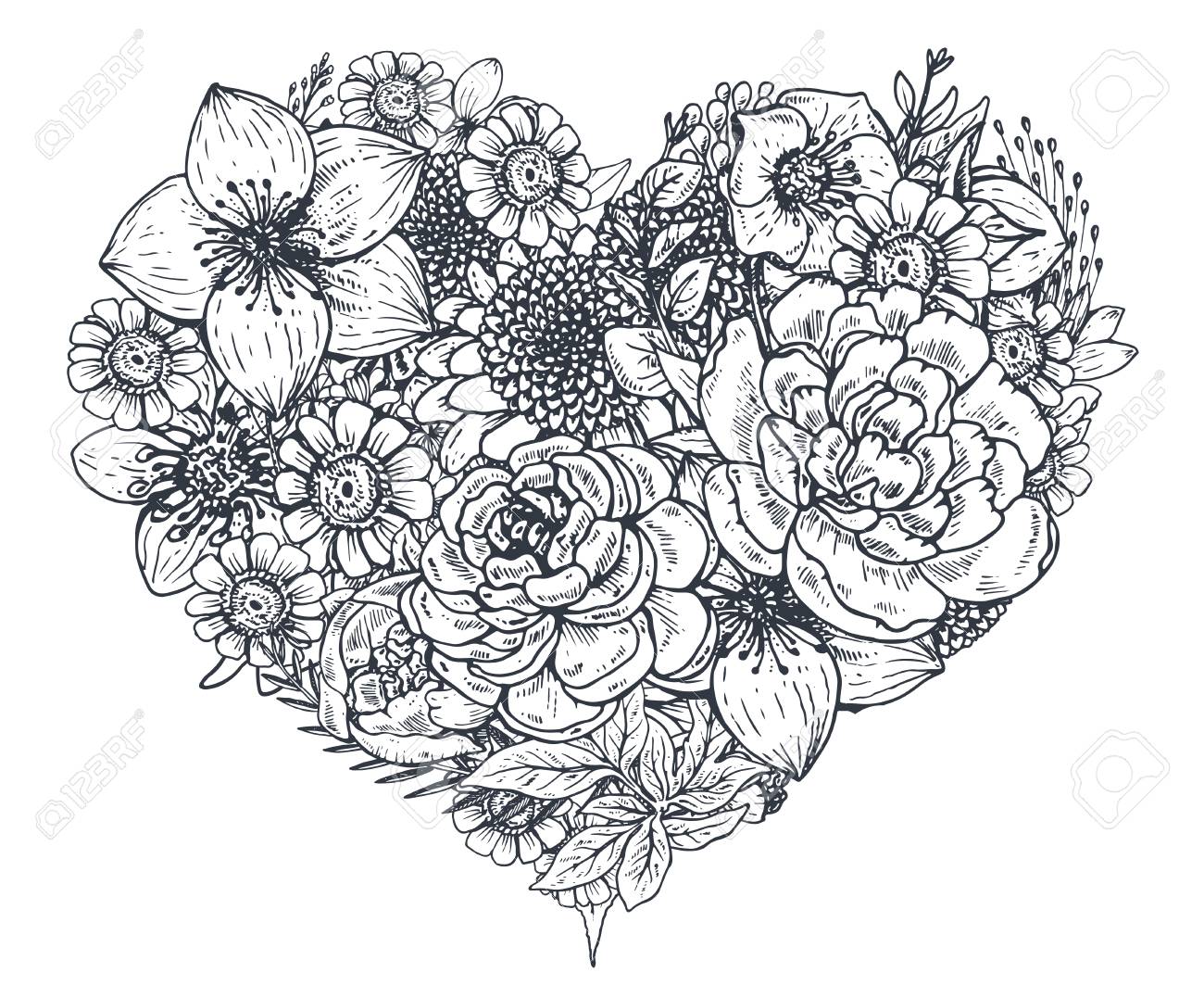 Floral Heart. Bouquet With Hand Drawn Flowers And Plants. Royalty Free SVG,  Cliparts, Vectors, and Stock Illustration. Image 70973076., image size:1300x1063
