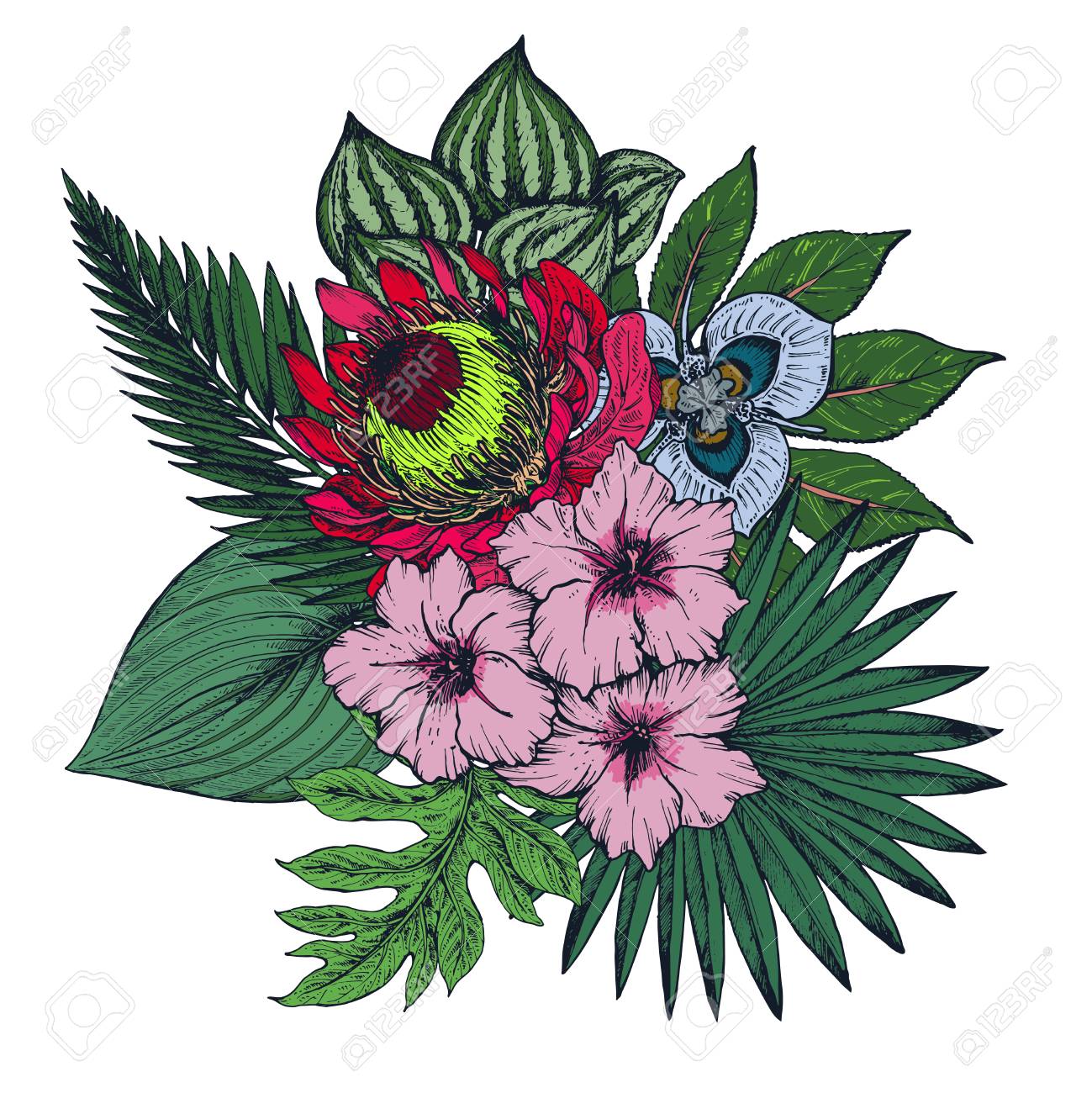 Vektor Zusammensetzung Der Hand Gezeichnet Bunte Tropische Blumen Palmblatter Dschungel Pflanzen Paradies Bouquet Schone Floral Illustration Isoliert Auf Weissem Hintergrund Lizenzfrei Nutzbare Vektorgrafiken Clip Arts Illustrationen Image