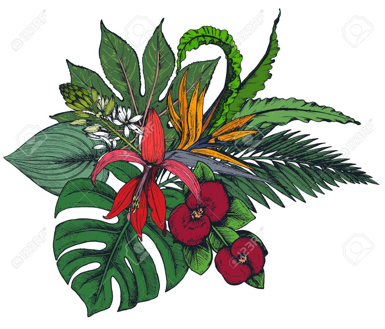 Composition Vectorielle De Fleurs Tropicales Colorées à La Main Feuilles De Palmier Plantes Jungle Bouquet Paradisiaque Belle Illustration Florale