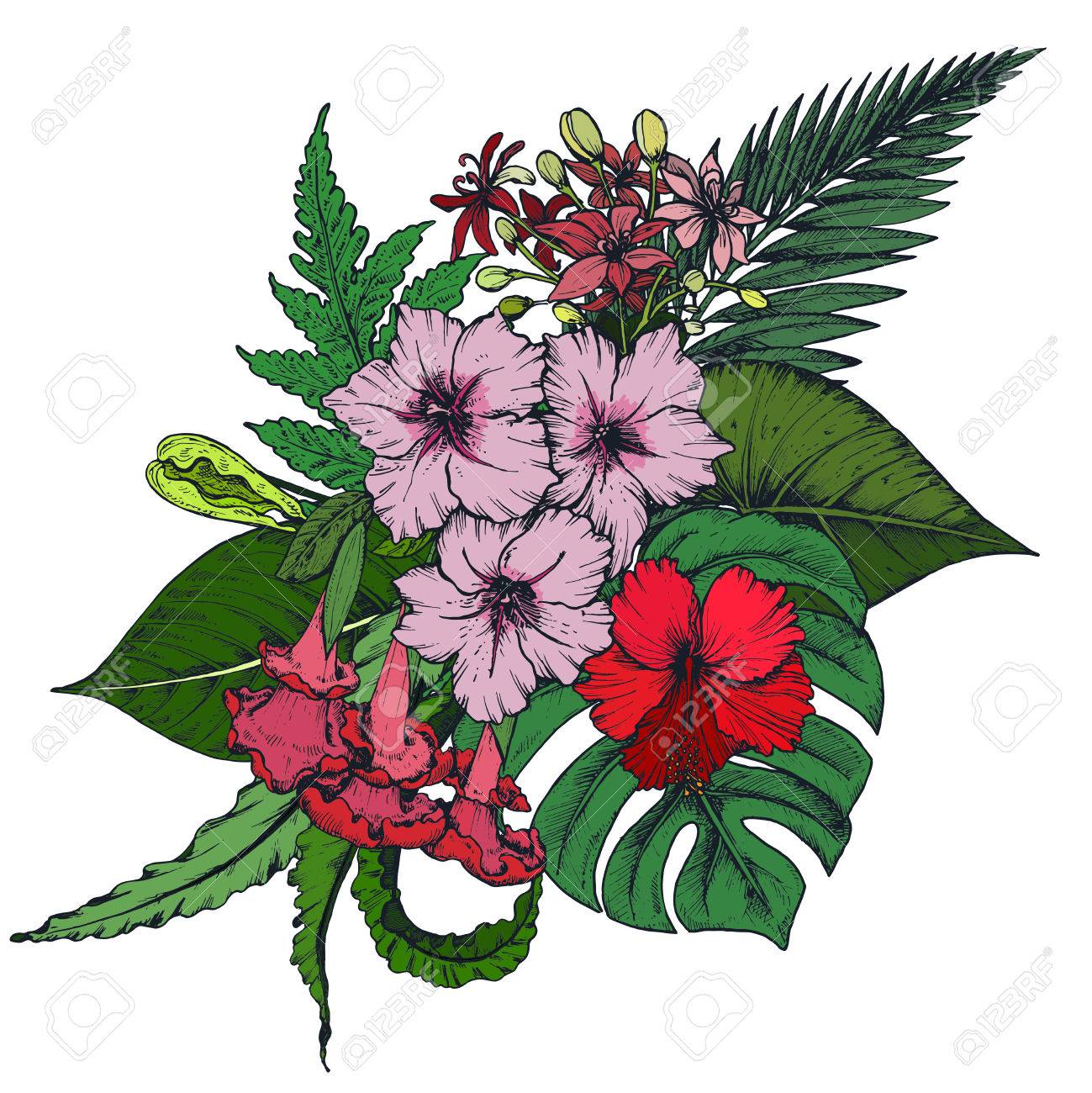 Vektor Zusammensetzung Der Hand Gezeichnet Bunte Tropische Blumen Palmblatter Dschungel Pflanzen Paradies Bouquet Schone Floral Illustration Isoliert Auf Weissem Hintergrund Lizenzfrei Nutzbare Vektorgrafiken Clip Arts Illustrationen Image