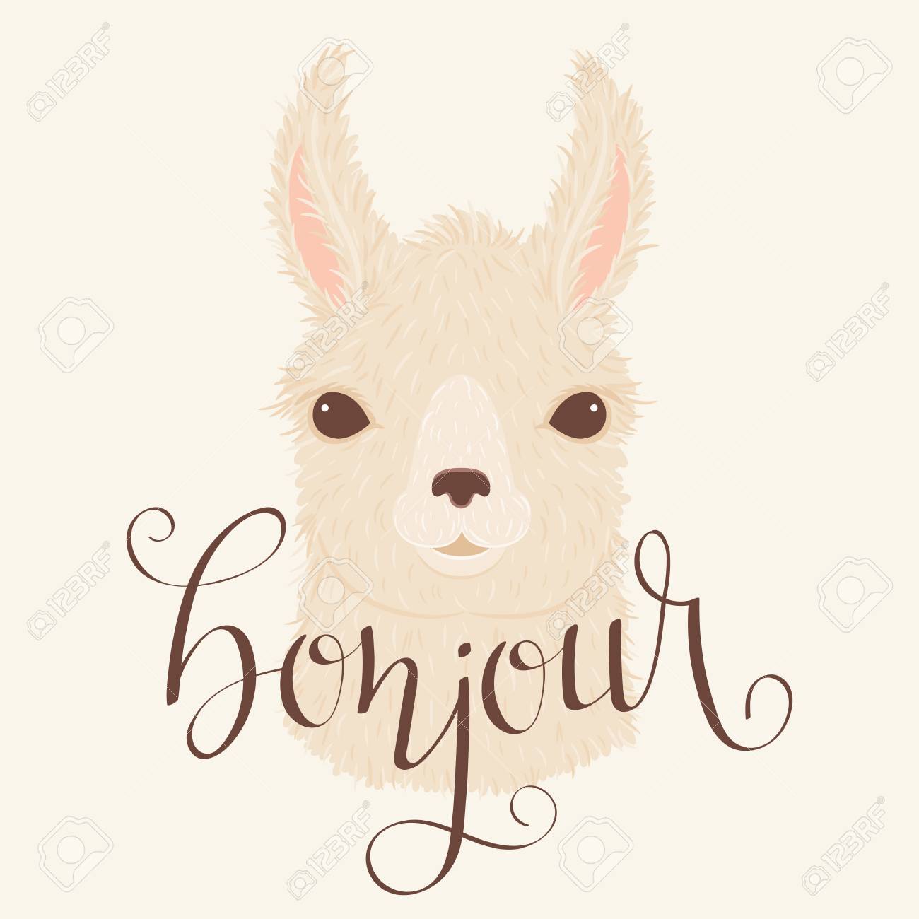 Llama Vector Illustration. Hand Lettering \, image size:1300x1300