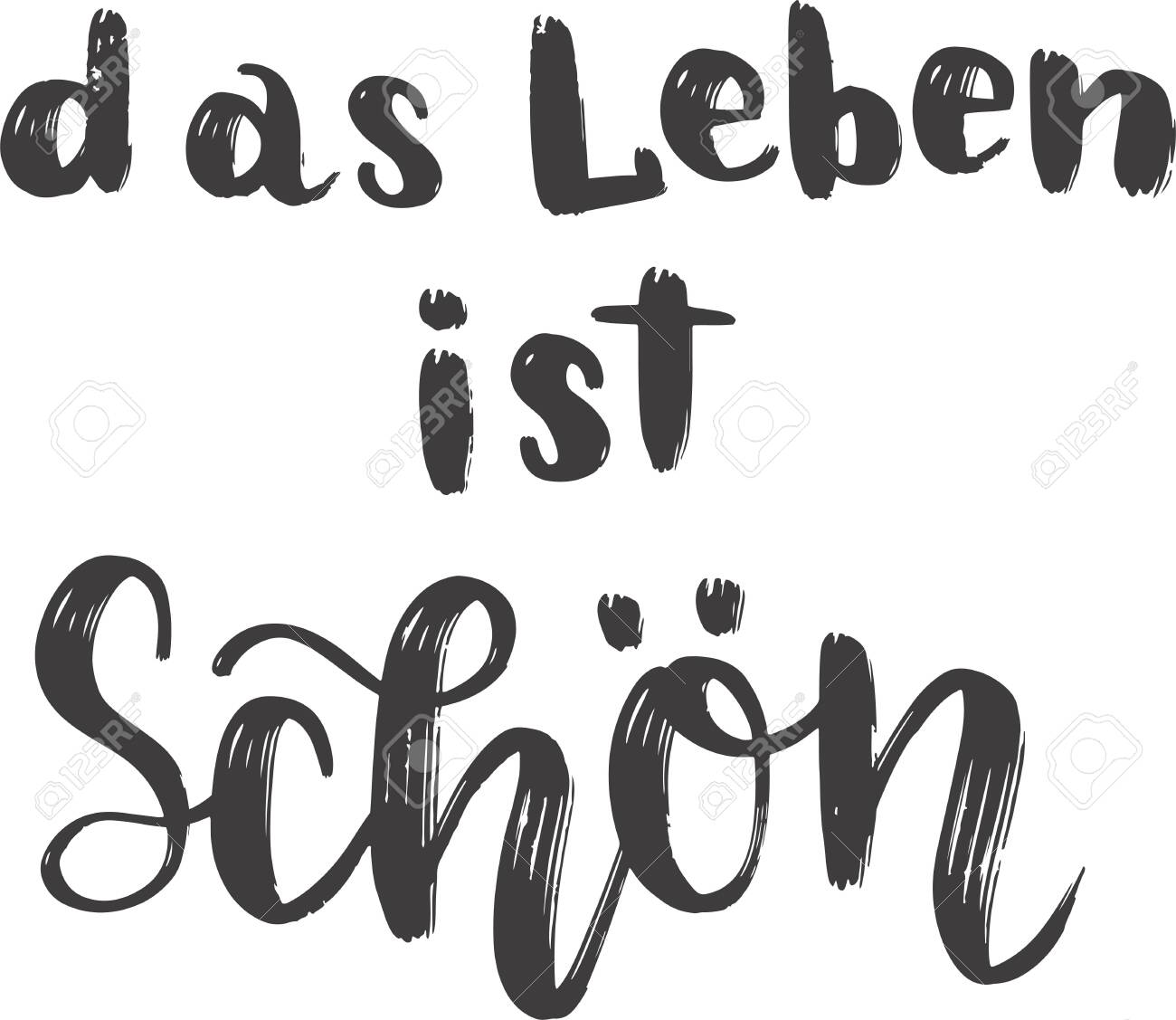 Das Leben Ist Scha N Hand Drawn Vector Lettering In German In English Means Life Is Beautiful German Hand Lettering Isolated On White Vector Modern Calligraphy Art Royalty Free Cliparts Vectors And Stock