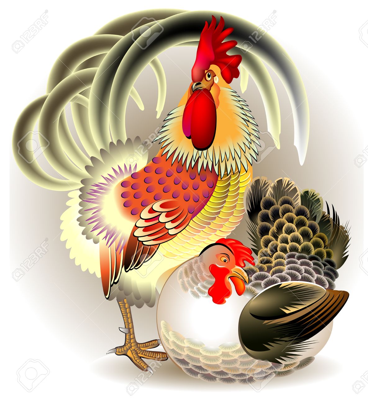 Illustration of cock and hen, vector cartoon image. - 64613268 Illustration of cock and hen, vector cartoon image. - 64613268
