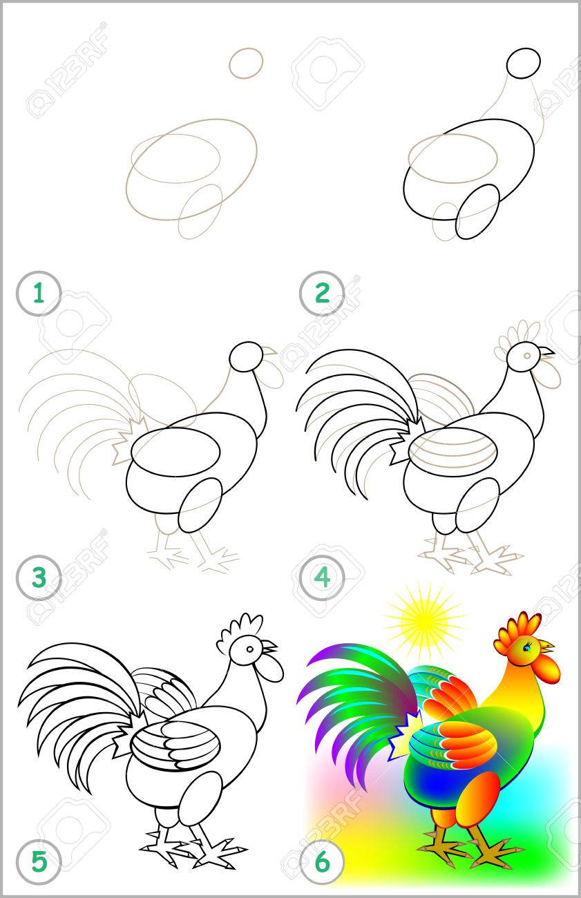 Seite Zeigt Wie Man Schritt Fur Schritt Lernt Einen Hahn Zu Zeichnen Entwicklung Von Fahigkeiten Fur Kinder Zum Zeichnen Und Malen Bild Lizenzfrei Nutzbare Vektorgrafiken Clip Arts Illustrationen Image 71803378
