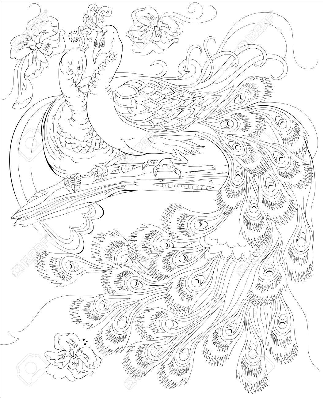 Black and white page for coloring. Fantasy drawing of peacocks couple. Worksheet for children and adults. Vector image. - 74316028 Black and white page for coloring. Fantasy drawing of peacocks couple. Worksheet for children and adults. Vector image. - 74316028