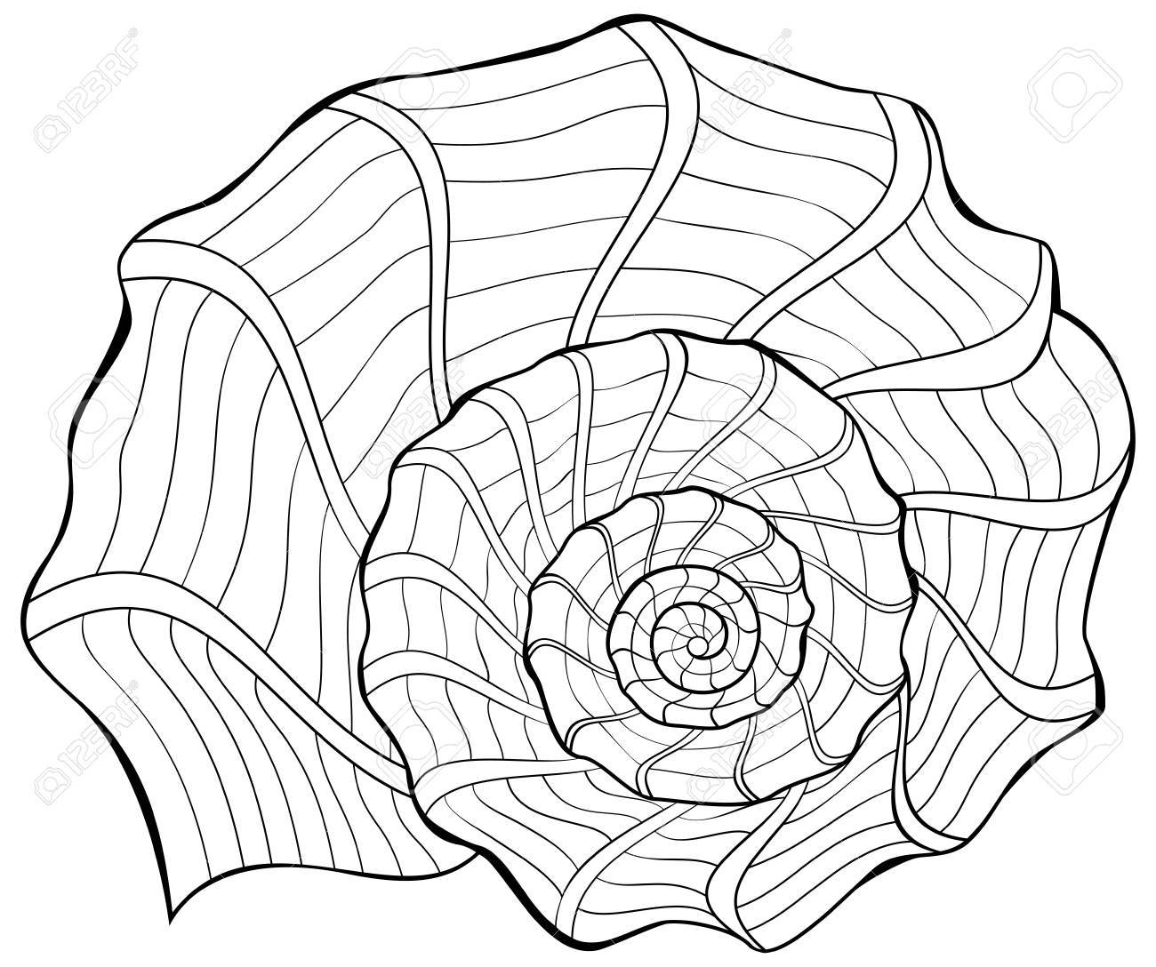 Black and white illustration of a shell for coloring. Worksheet for children and adults. Vector image. - 86999819 Black and white illustration of a shell for coloring. Worksheet for children and adults. Vector image. - 86999819