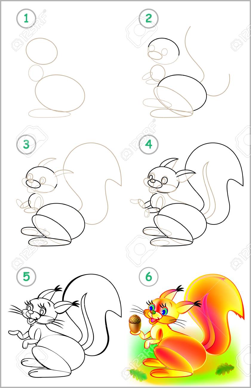 Page shows how to learn step by step to draw a squirrel. Developing children skills for drawing and coloring. - 89262215 Page shows how to learn step by step to draw a squirrel. Developing children skills for drawing and coloring. - 89262215