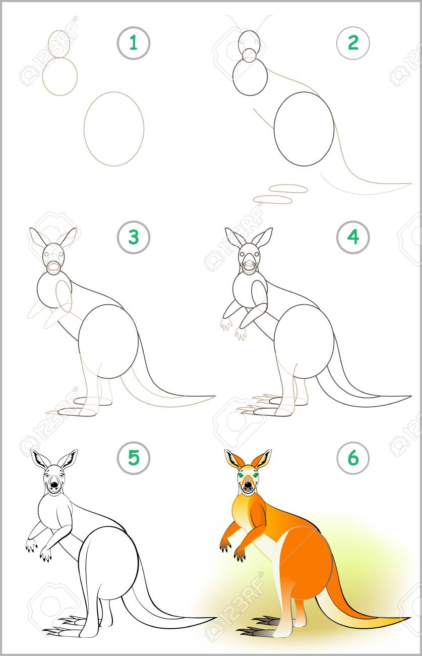 Möwe Zeichnen Einfach