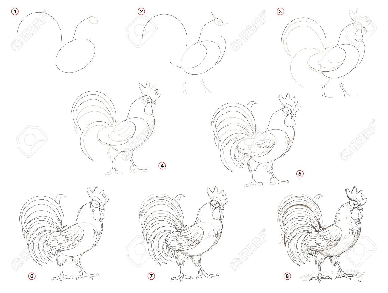 Insightful site for youngsters reveals how toward acquire move through stage.. graphic regarding Rooster Printable titled Insightful web page for young children displays how toward acquire move through action..