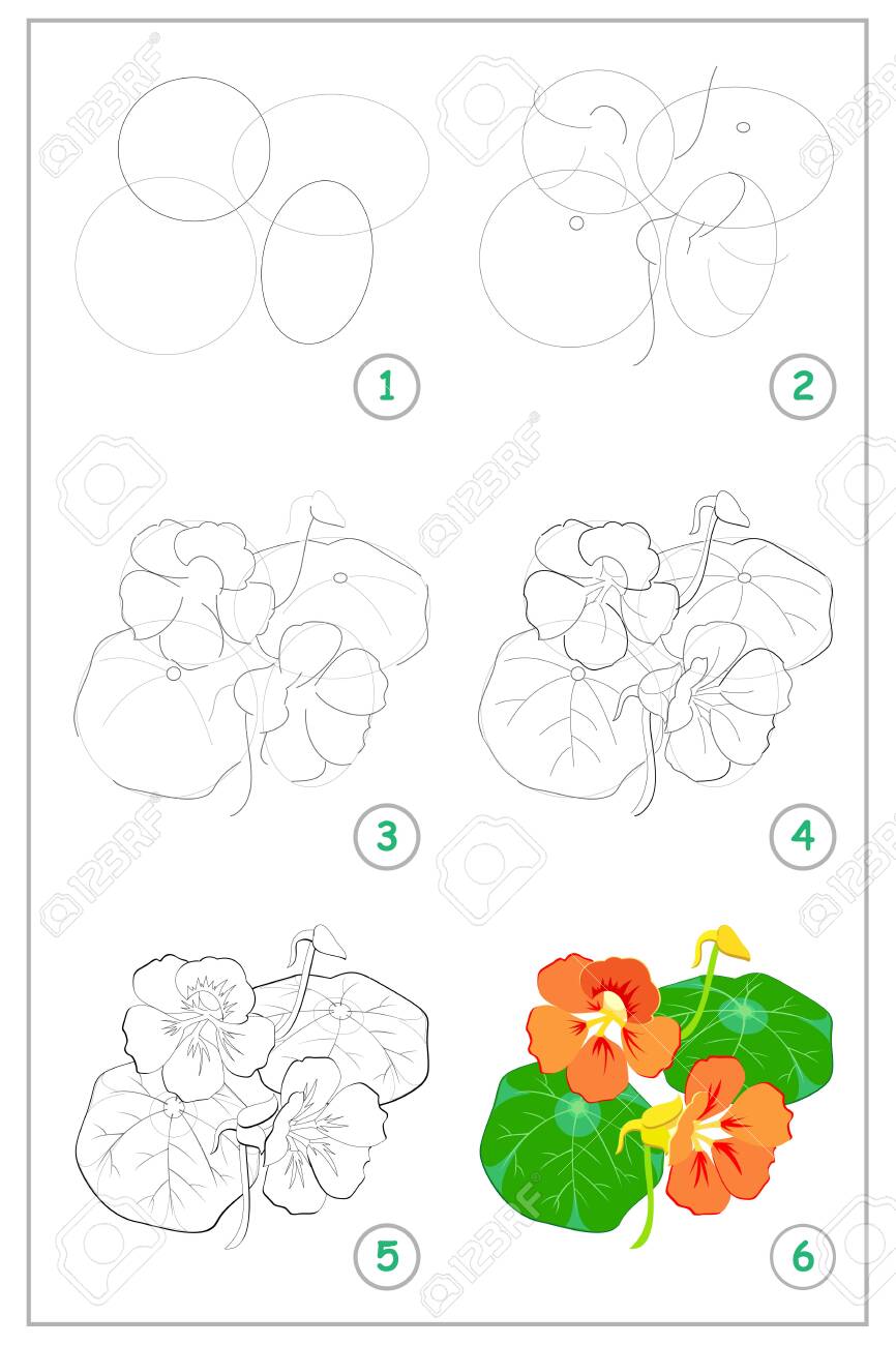 Page Shows How To Draw Step By Step Beautiful Flowers Of ...