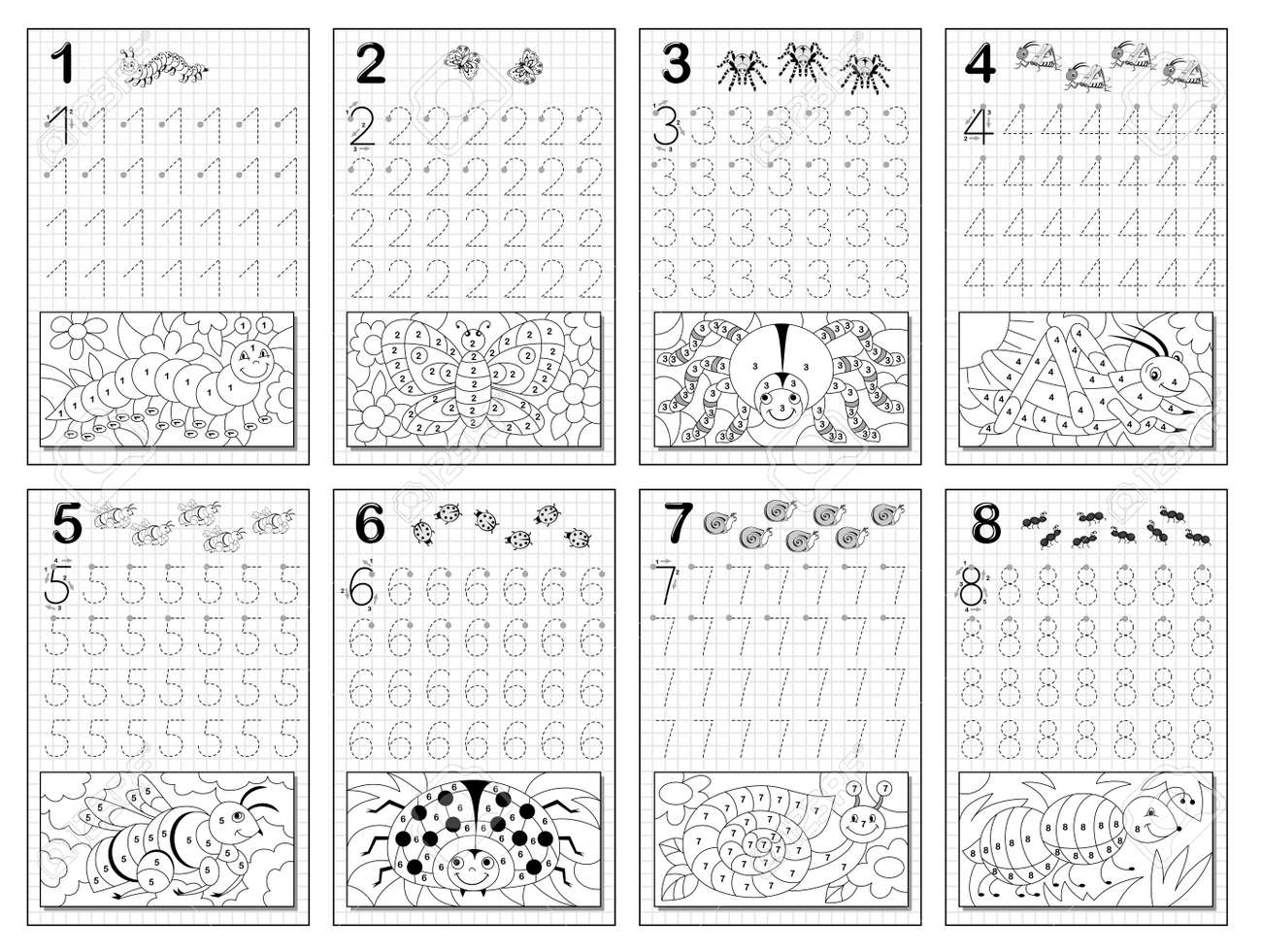 Set of black and white educational pages on square paper for kids. Trace numbers and color insects. Printable worksheet for children textbook. Coloring book. Developing writing skill. Back to school. - 170076804 Set of black and white educational pages on square paper for kids. Trace numbers and color insects. Printable worksheet for children textbook. Coloring book. Developing writing skill. Back to school. - 170076804