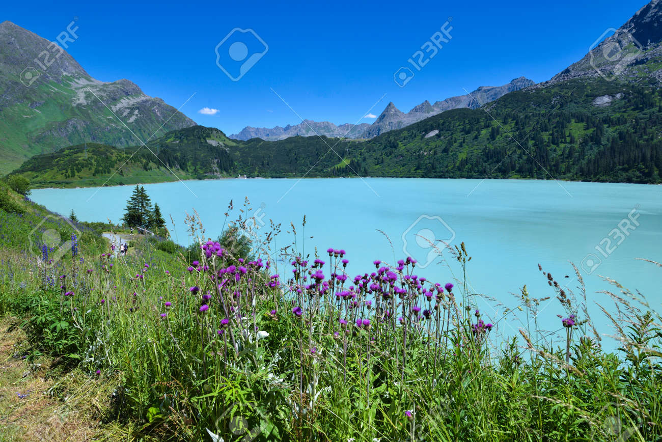 湖 風景画 （R） 湖の作品一覧｜アート・絵画の販売(通販)サイト