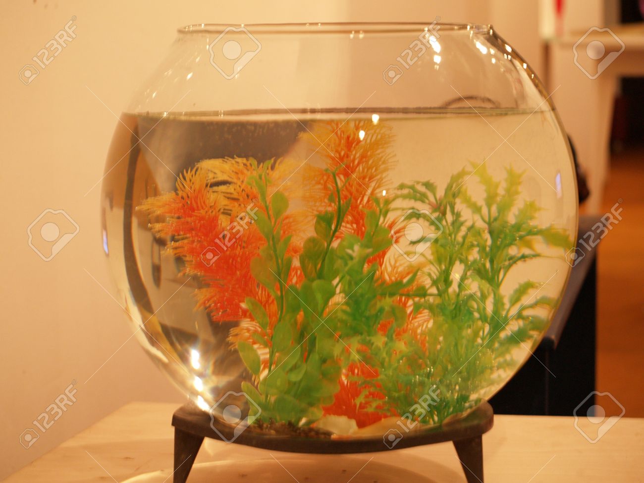 round aquarium