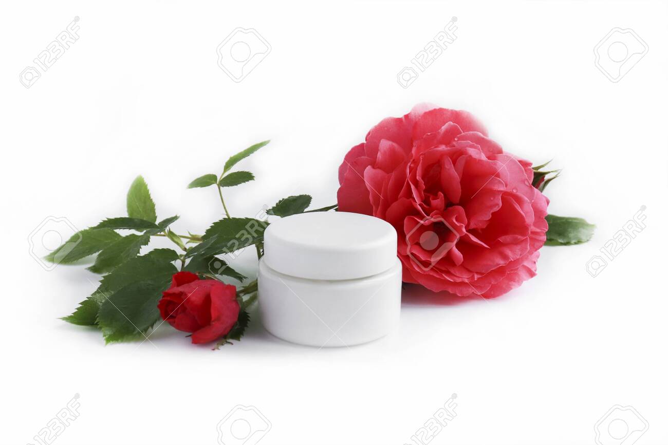 cream rose herbal