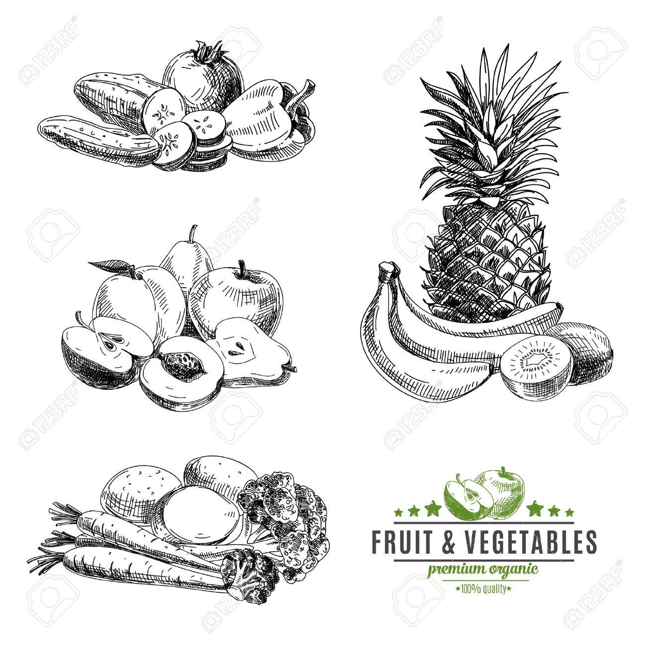 Vector set of fruit and vegetables. Healthy food. Vector illustration in sketch style. Hand drawn design elements. - 43333324 Vector set of fruit and vegetables. Healthy food. Vector illustration in sketch style. Hand drawn design elements. - 43333324