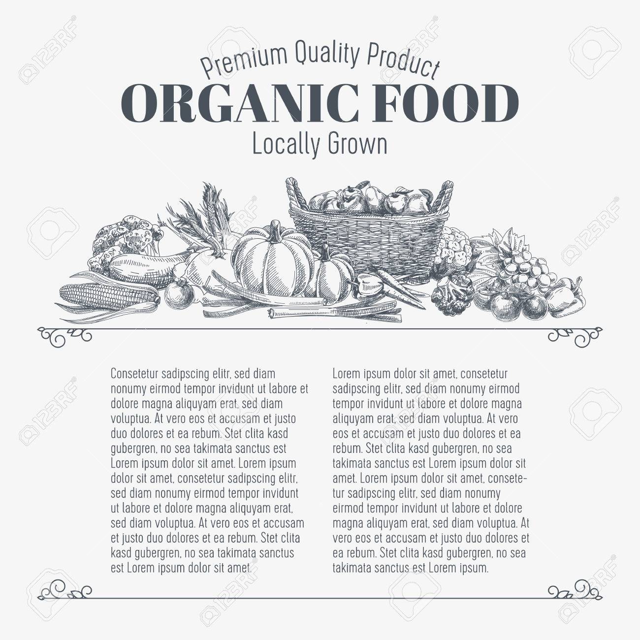 Vector background with hand drawn organic food. Vegetable and fruits spices illustration. - 49425286 Vector background with hand drawn organic food. Vegetable and fruits spices illustration. - 49425286