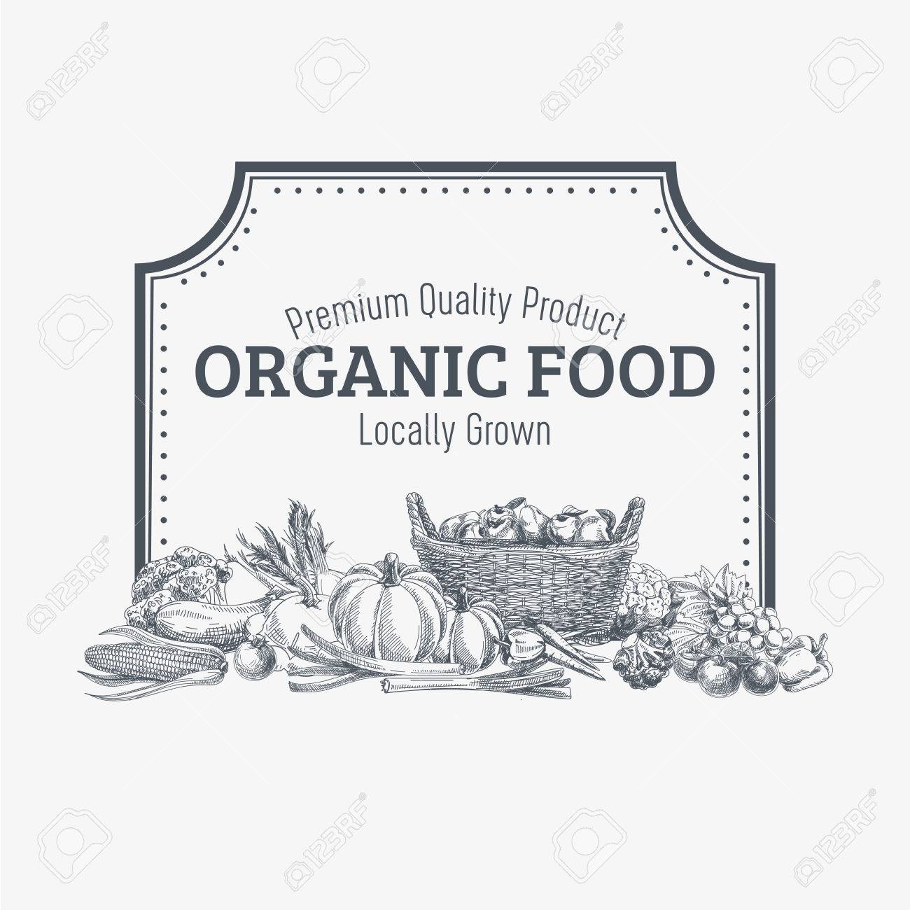 Vector background with hand drawn organic food. Vegetable and fruits spices illustration. - 49425287 Vector background with hand drawn organic food. Vegetable and fruits spices illustration. - 49425287