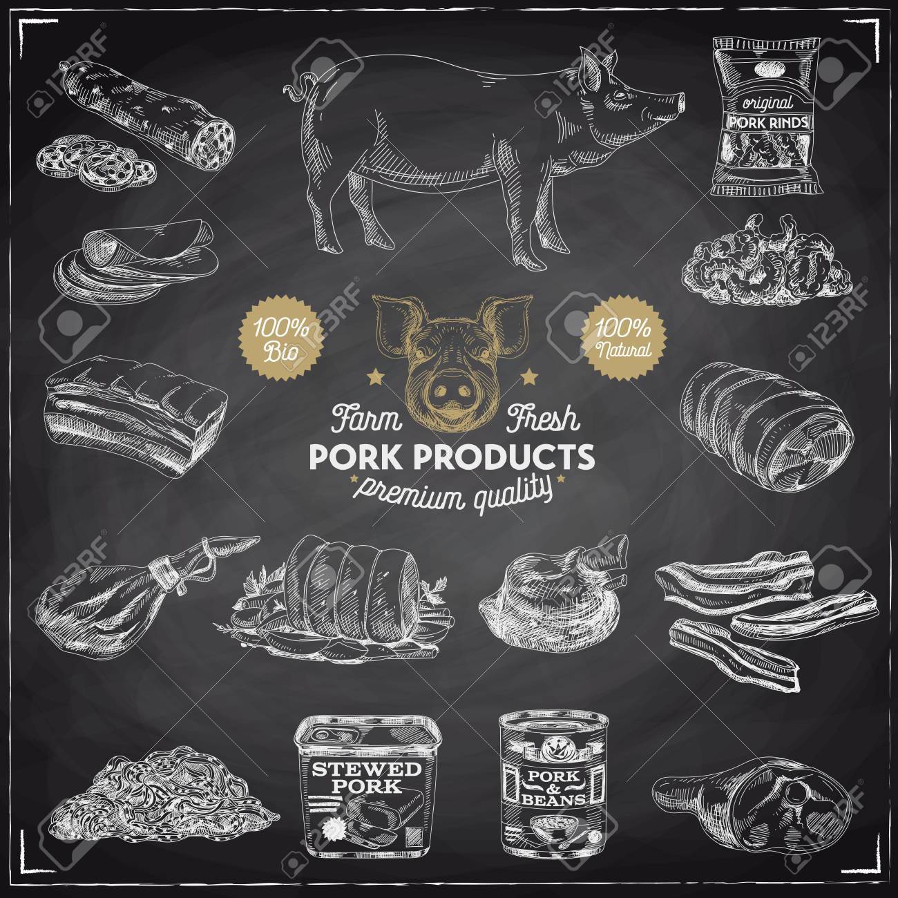 Vector hand drawn Illustration with meat products. Pork meat. Sketch. Vintage style. Retro background. Chalkboard - 66667886 Vector hand drawn Illustration with meat products. Pork meat. Sketch. Vintage style. Retro background. Chalkboard - 66667886