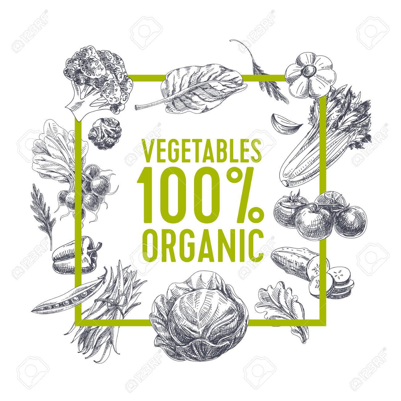 Vector hand drawn farm market Illustration. Vintage style. Retro organic food background. Locally grown sketch - 66667888 Vector hand drawn farm market Illustration. Vintage style. Retro organic food background. Locally grown sketch - 66667888