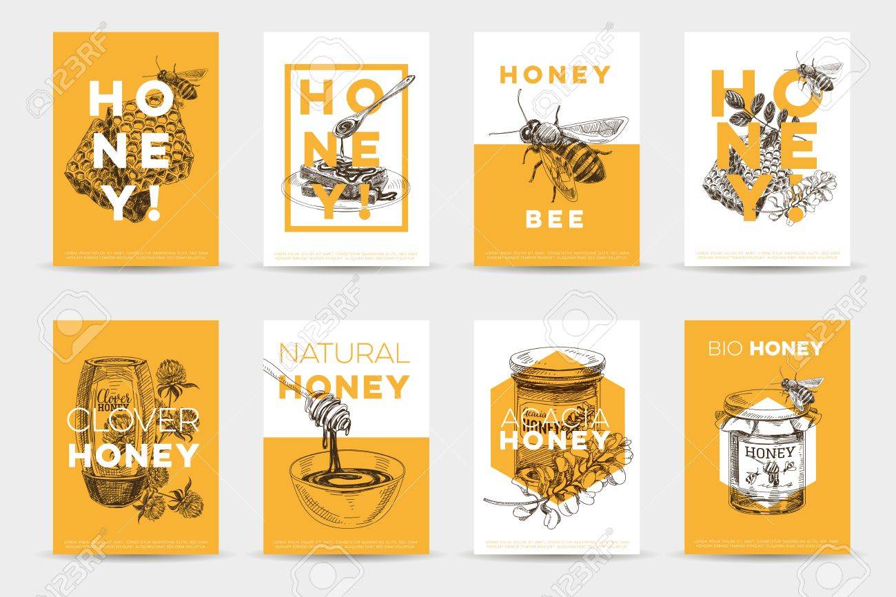 Vector hand drawn honey poster set. Sketch vintage style Illustrations. Cards design template. Retro background. - 75684156 Vector hand drawn honey poster set. Sketch vintage style Illustrations. Cards design template. Retro background. - 75684156