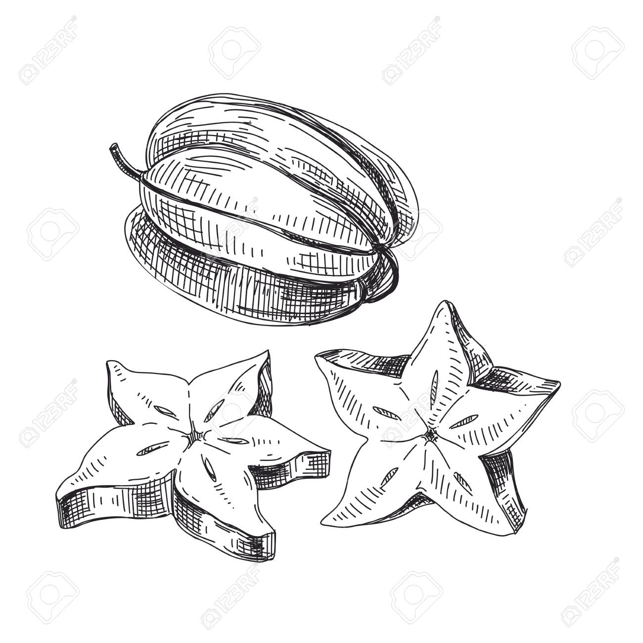 美しいベクトルハンド描きエキゾチックなフルーツイラスト 詳細なレトロスタイルのスターフルーツイメージ ラベルのヴィンテージスケッチ のイラスト素材 ベクタ Image