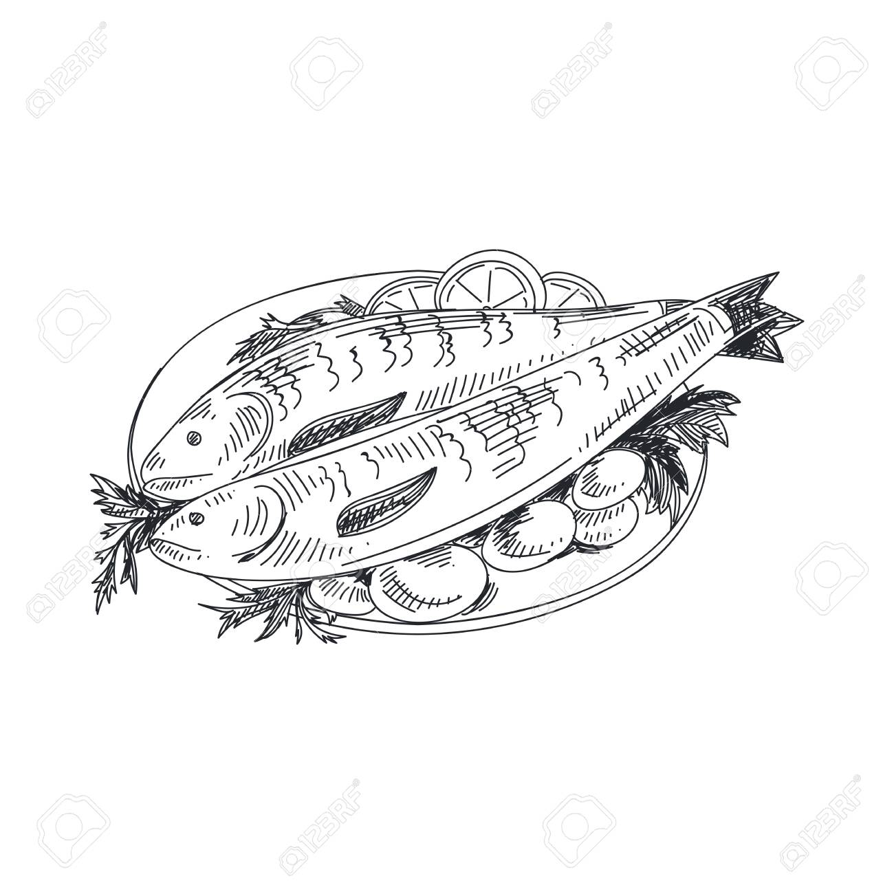 Beautiful Vector Hand Drawn Seafood Illustration. Detailed Retro Style  Grilled Fish With Potatoes Image. Vintage Sketch Element For Labels,  Packaging And Cards Design. Royalty Free SVG, Cliparts, Vectors, and Stock  Illustration. Image, image size:1300x1300