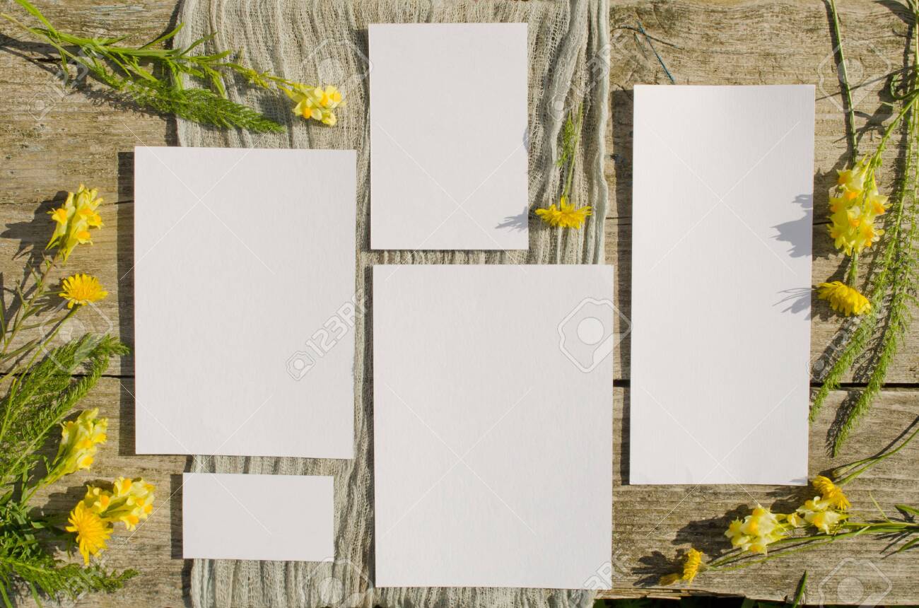 Download Summer Stationery Mockups Set Scene With With Yellow Flowers Stock Photo Picture And Royalty Free Image Image 149422704 3D SVG Files Ideas | SVG, Paper Crafts, SVG File