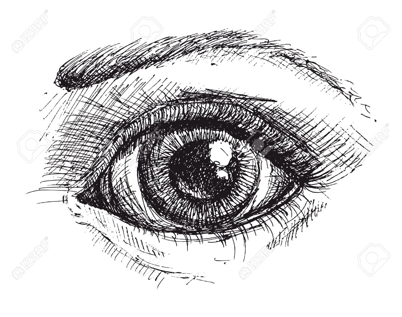 黒と白の目を描くのイラスト素材 ベクタ Image 黒と白の目を描くのイラスト素材 ベクタ Image