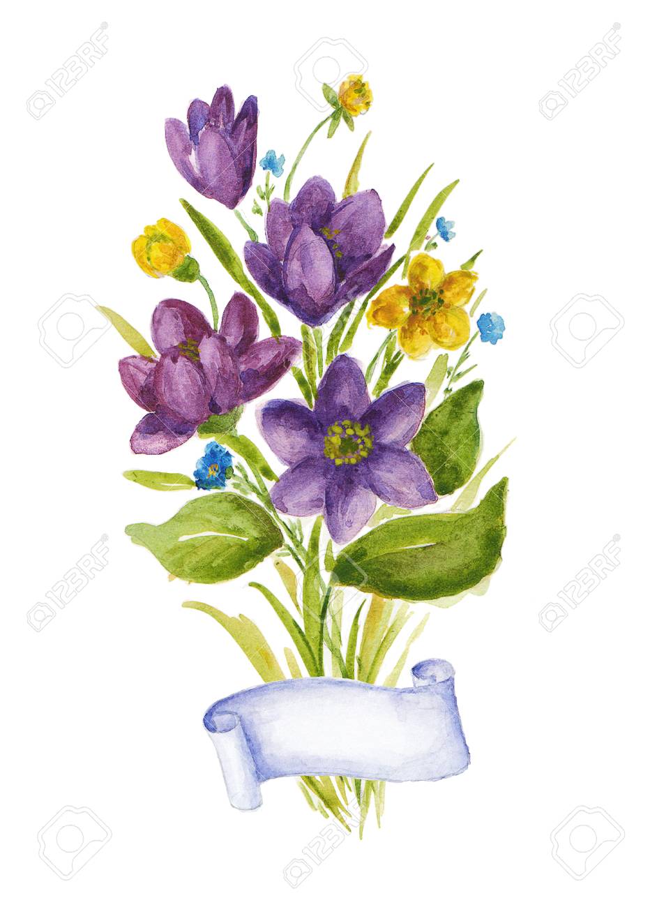 Watercolor Illustration With Bouquet Of Crocuses Stock Photo Picture And Royalty Free Image Image Watercolor Illustration With Bouquet Of Crocuses Stock Photo Picture And Royalty Free Image Image