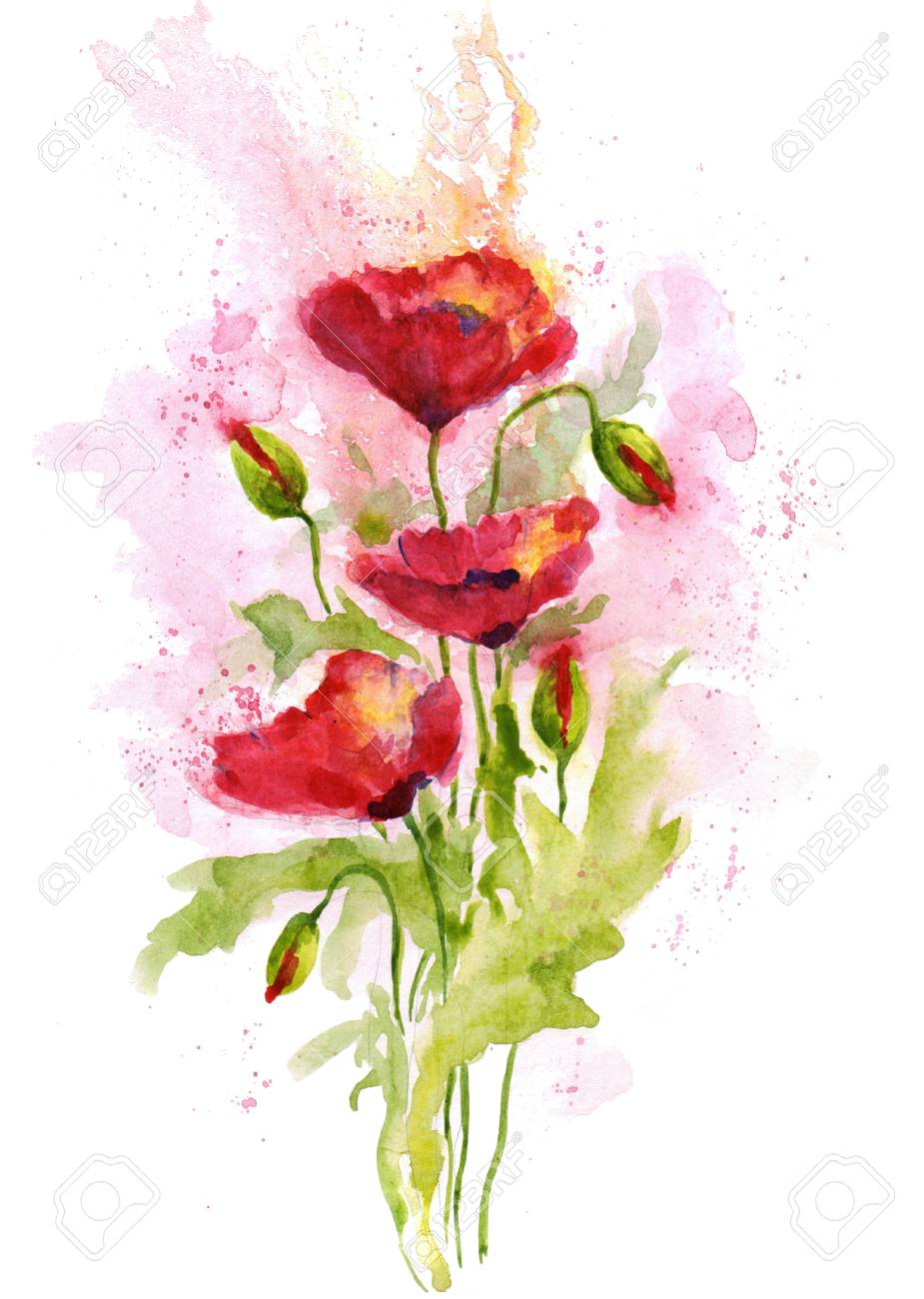 写真素材 , 白い背景の花束赤いポピーの花。水彩イラスト。