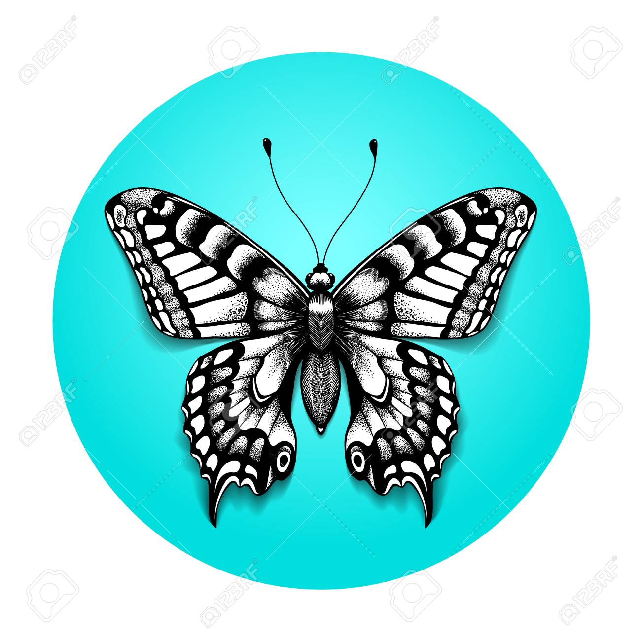 Tattoo Beautiful Butterfly For Your Shoulder Realistic Butterfly In Blue Circle Black And White Tattoo Sketch Of Butterfly Royalty Free Cliparts Vectors And Stock Illustration Image 93819094