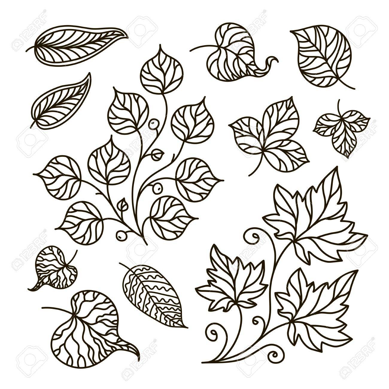 ilustración de contorno libro para colorear rama conjunto hojas