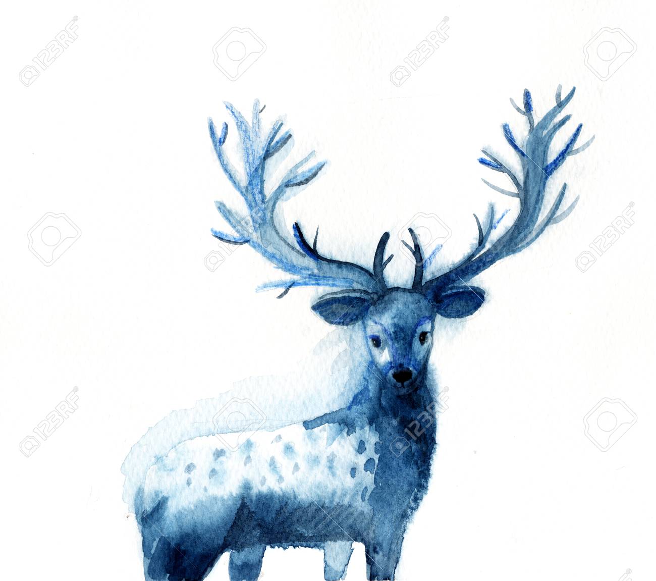 白い背景に美しい青い鹿の水彩画。森の動物。手描き。の写真素材