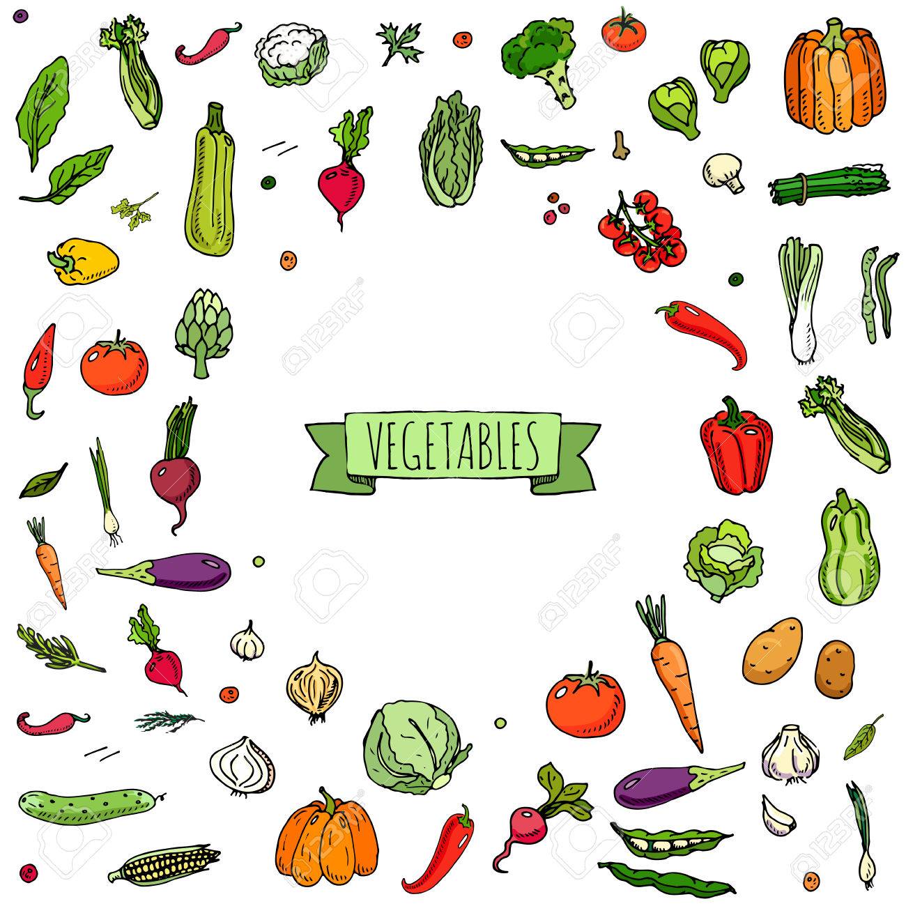 手描き落書き野菜アイコン設定ベクトル イラスト季節野菜シンボル コレクション漫画各種野菜 Vaus 種類野菜の白背景スケッチ風のスタイルに のイラスト素材 ベクタ Image