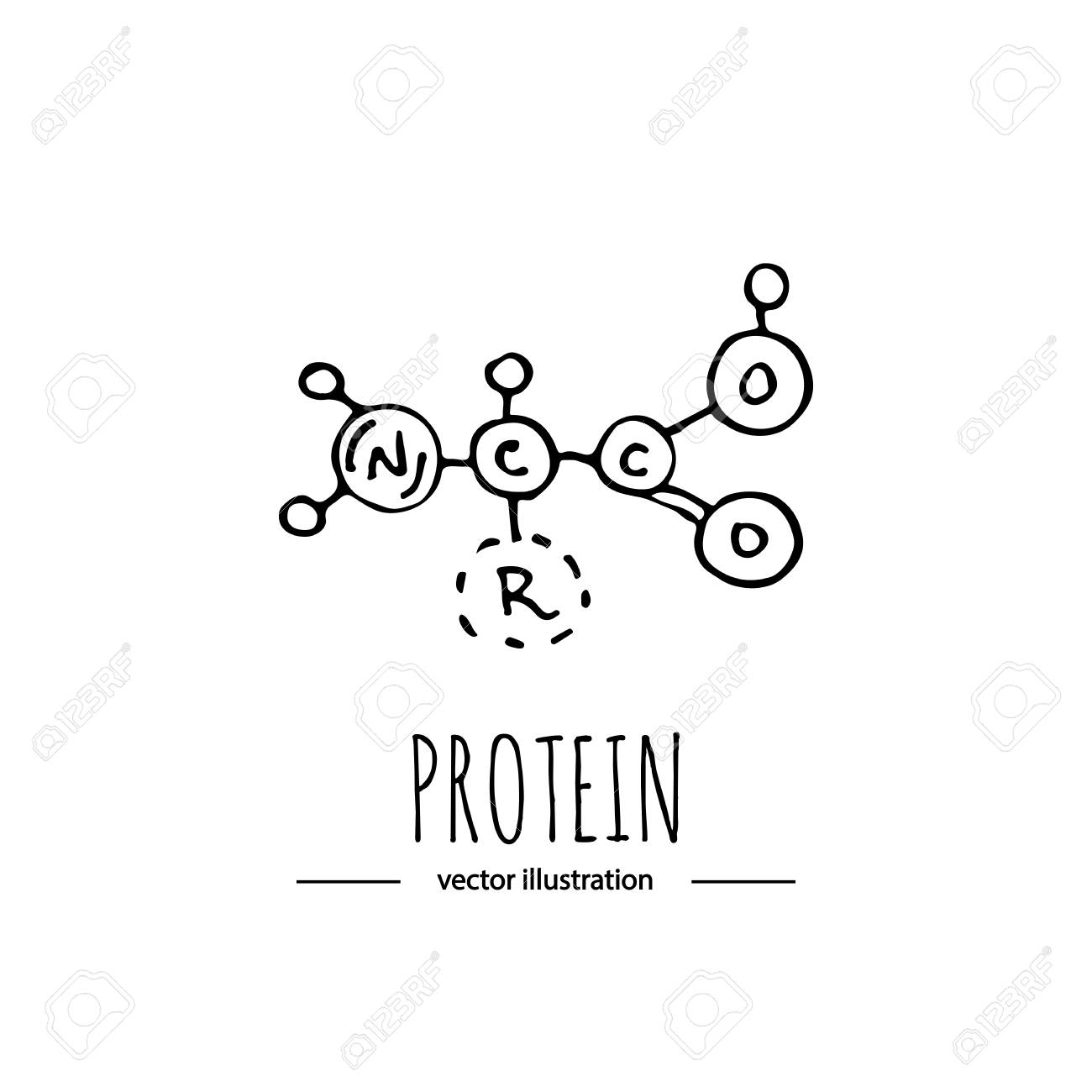 protein formula
