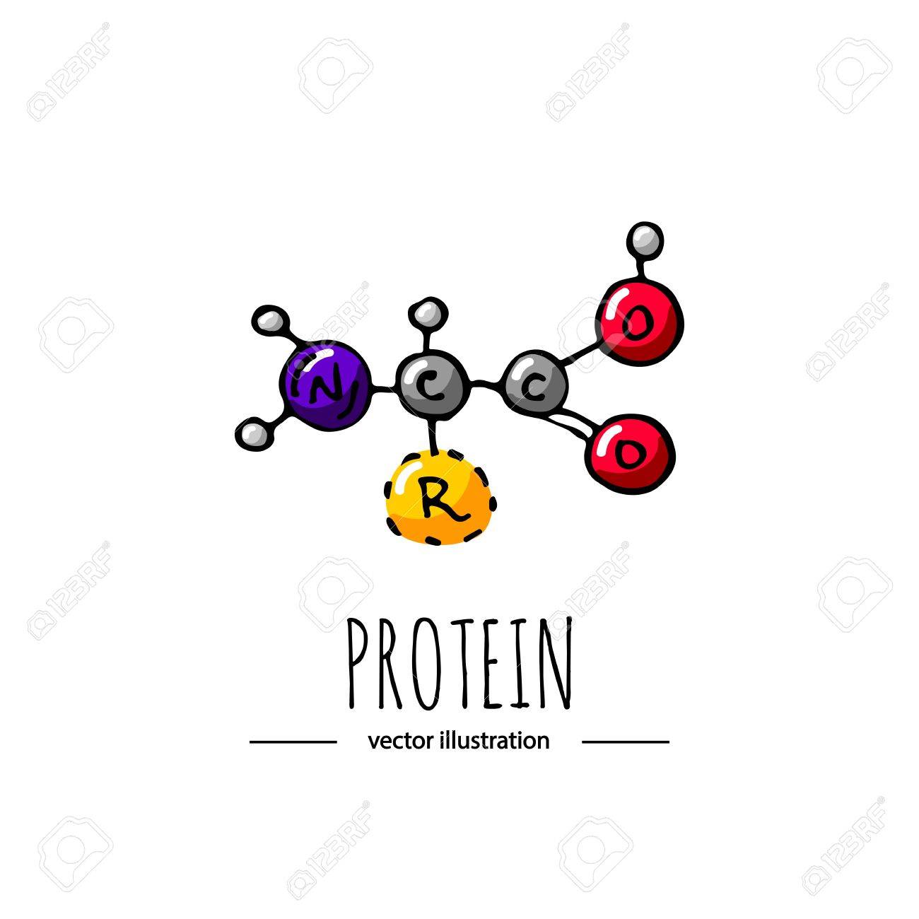 hand drawn doodle protein chemical formula icon vector illustration