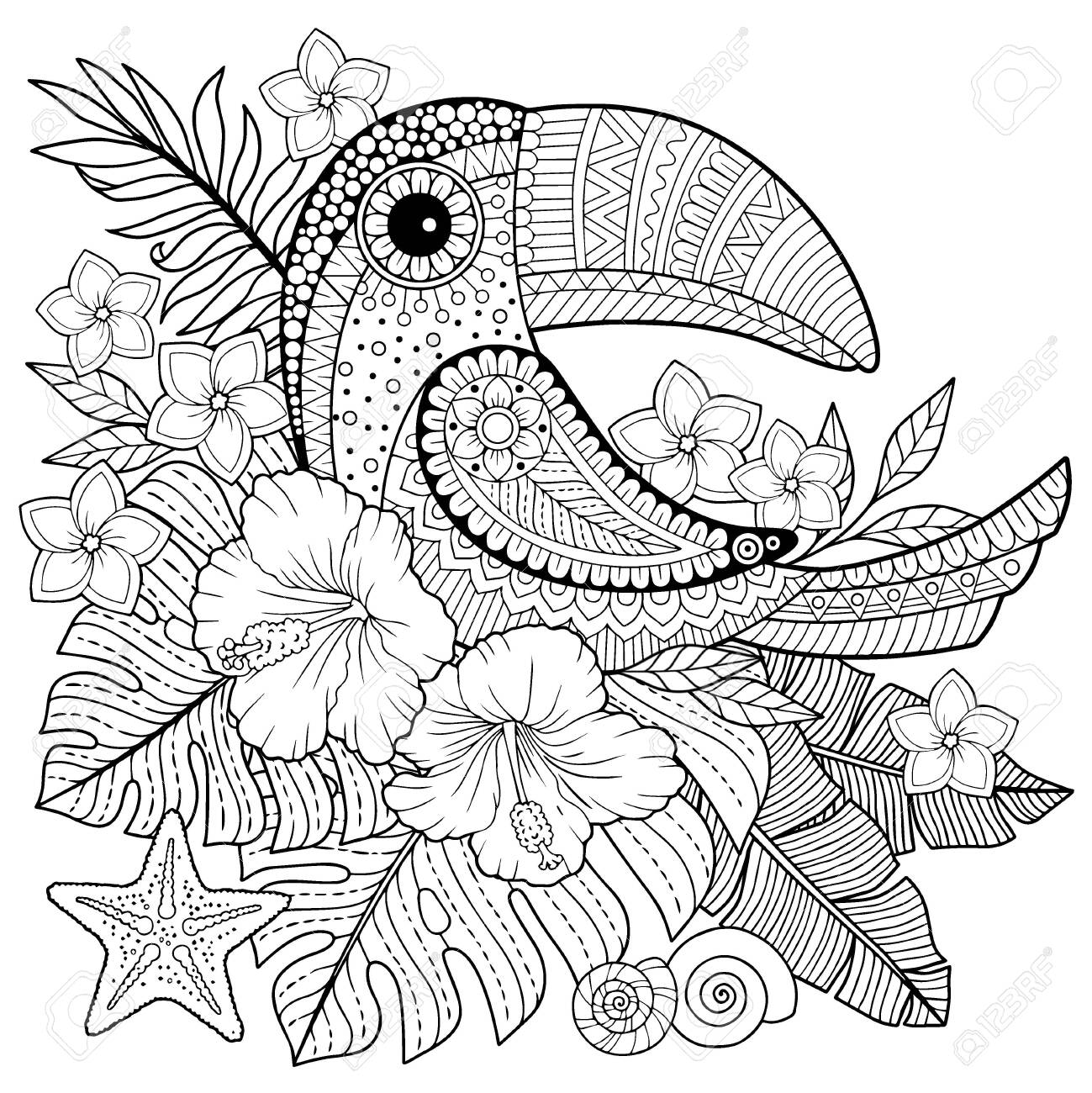 Tucan e flor para colorir para adultos