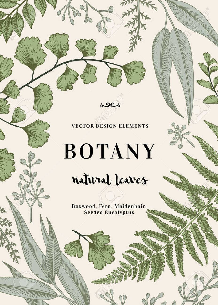 floral background vintage invitation with various leaves botanical