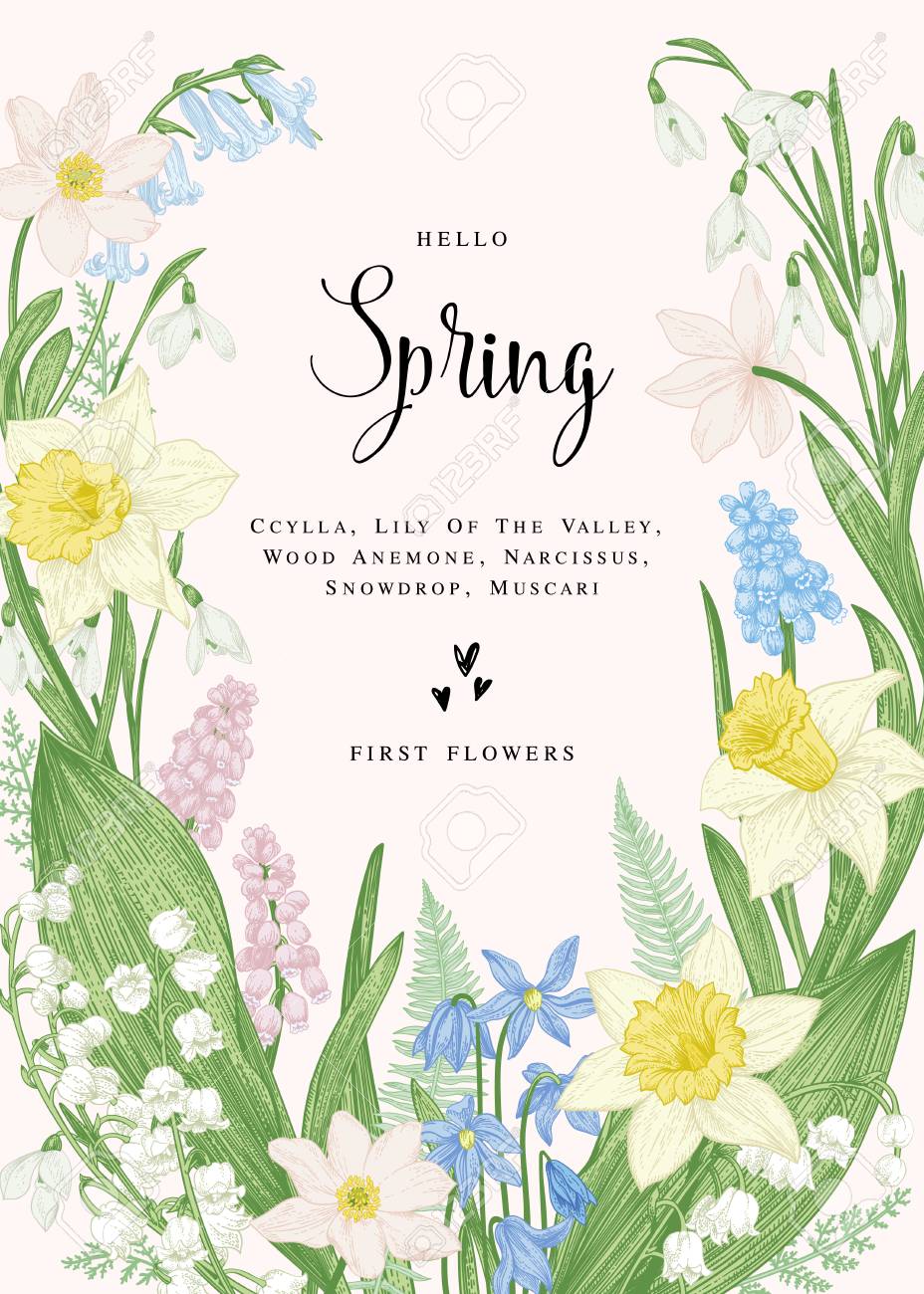 Floral Card With Spring Flowers Botanical Illustration Pastel Colors Vector Royalty Free Cliparts Vectors And Stock Illustration Image