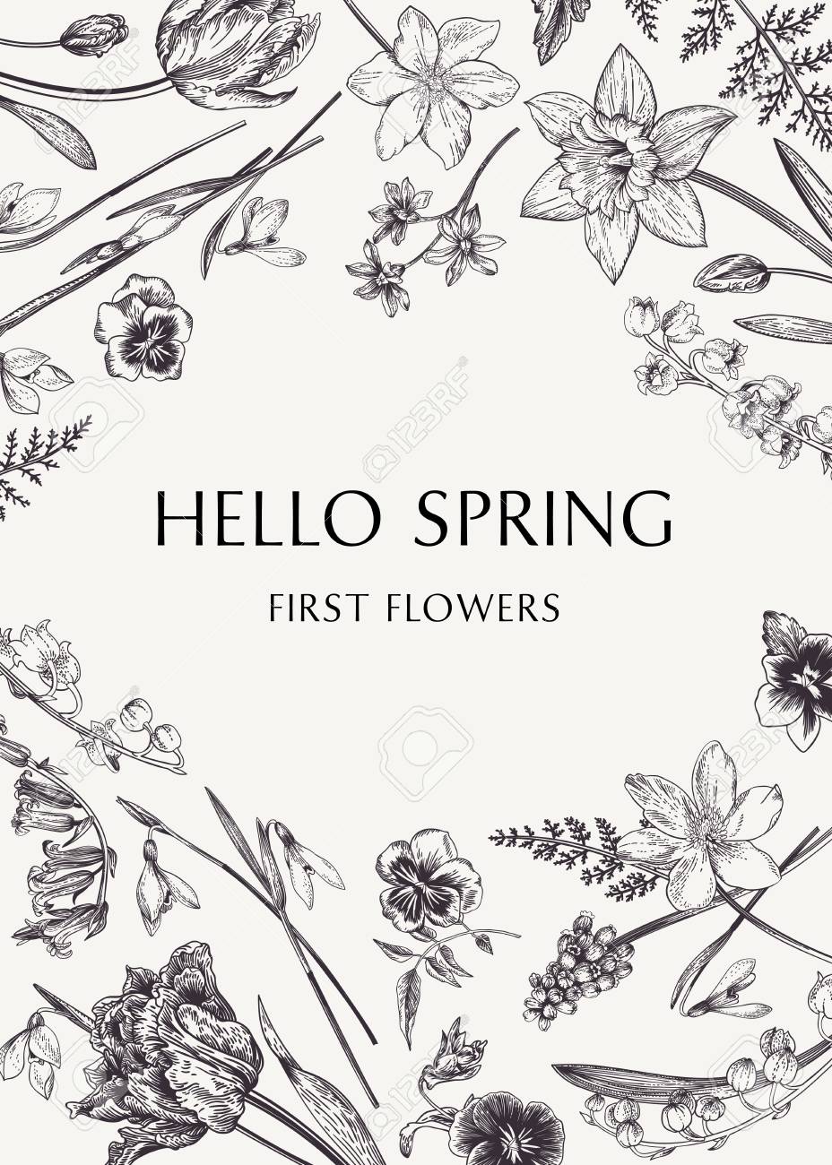 春の花と植物のカード ベクトルの図 彫刻 黒と白 のイラスト素材 ベクタ Image 77103871