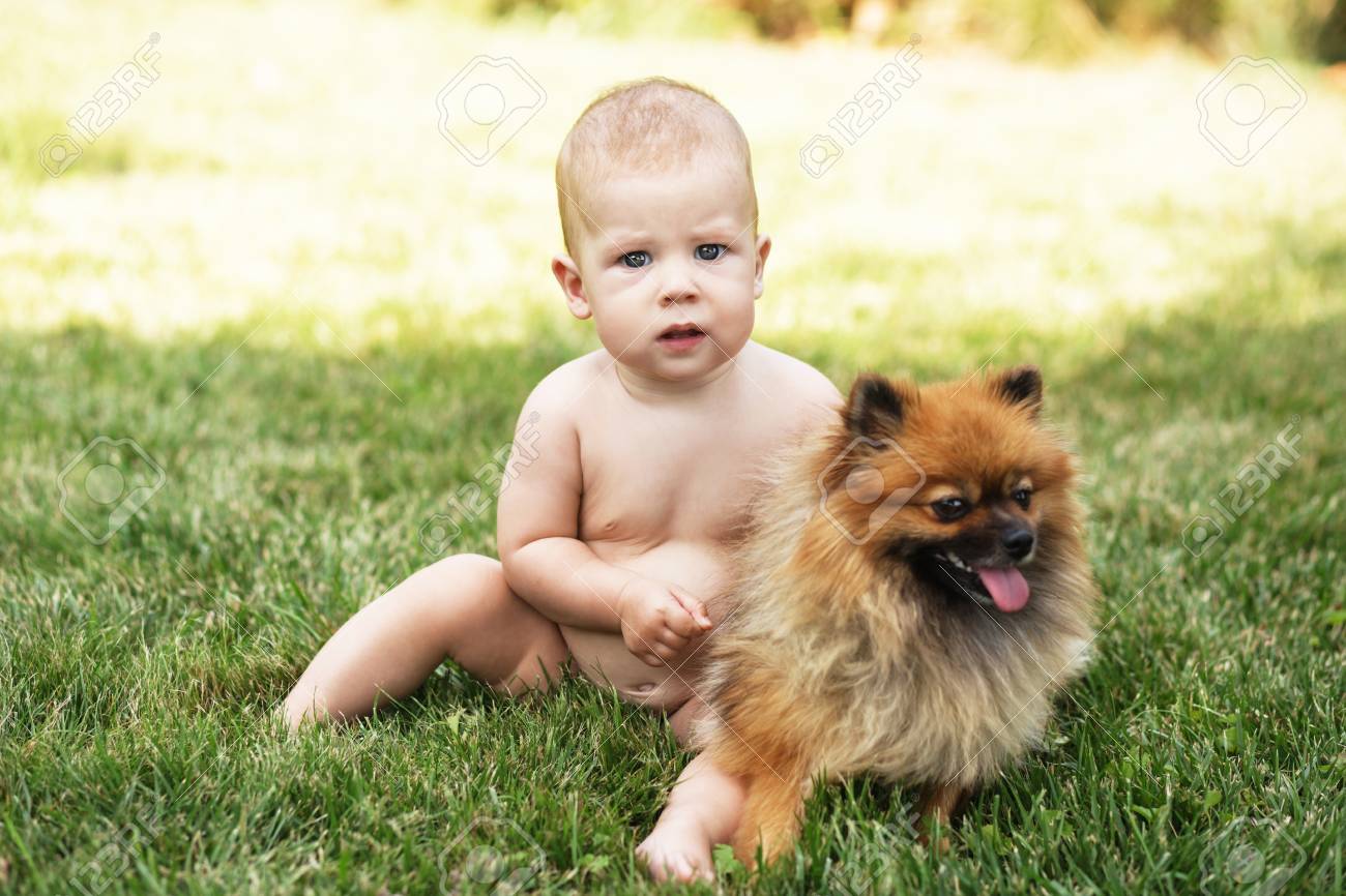 Petit Bebe Jouer Avec Pomeranie Chien Spitz Sur L Herbe Verte A L Exterieur Kid Et Chiot Banque D Images Et Photos Libres De Droits Image