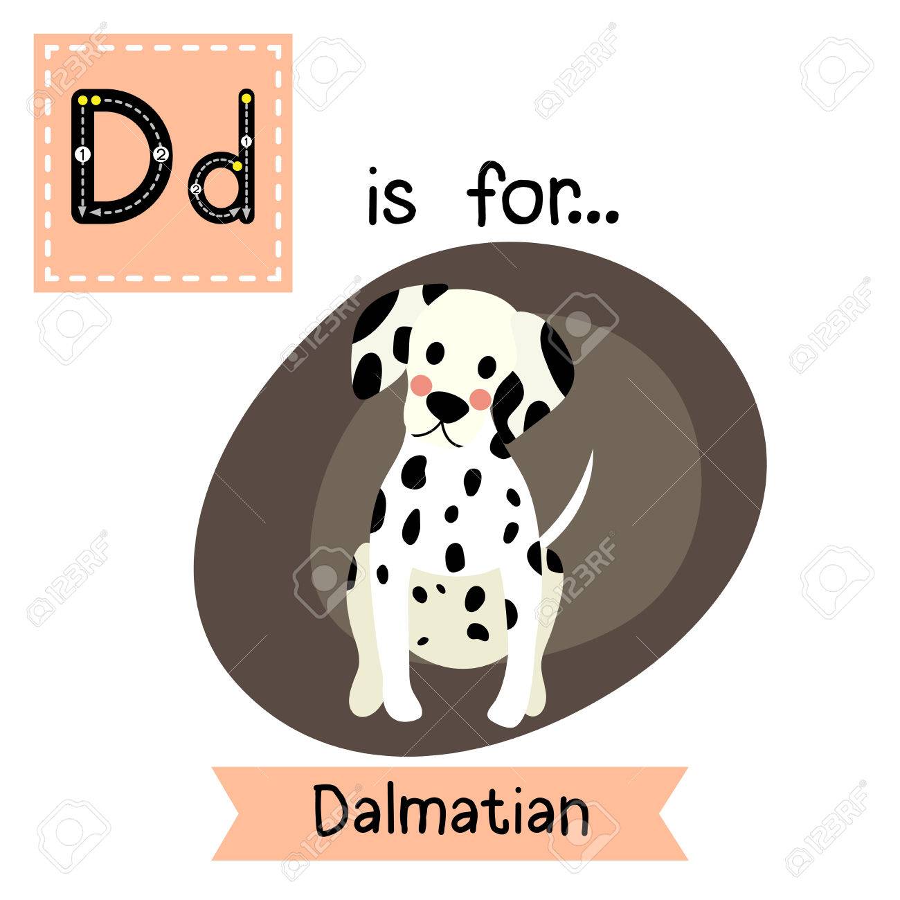 D 文字のトレース 座っているダルメシアン かわいい子供動物園アルファベット フラッシュ カード 面白い漫画の動物 Abc 教育を子供たちには 英語の語彙を学習します ベクトルの図 のイラスト素材 ベクタ Image D 文字のトレース 座っているダルメシアン かわいい子供動物園アルファベット フラッシュ カード 面白い漫画の動物 Abc 教育を子供たちには 英語の語彙を学習します ベクトルの図 のイラスト素材 ベクタ Image