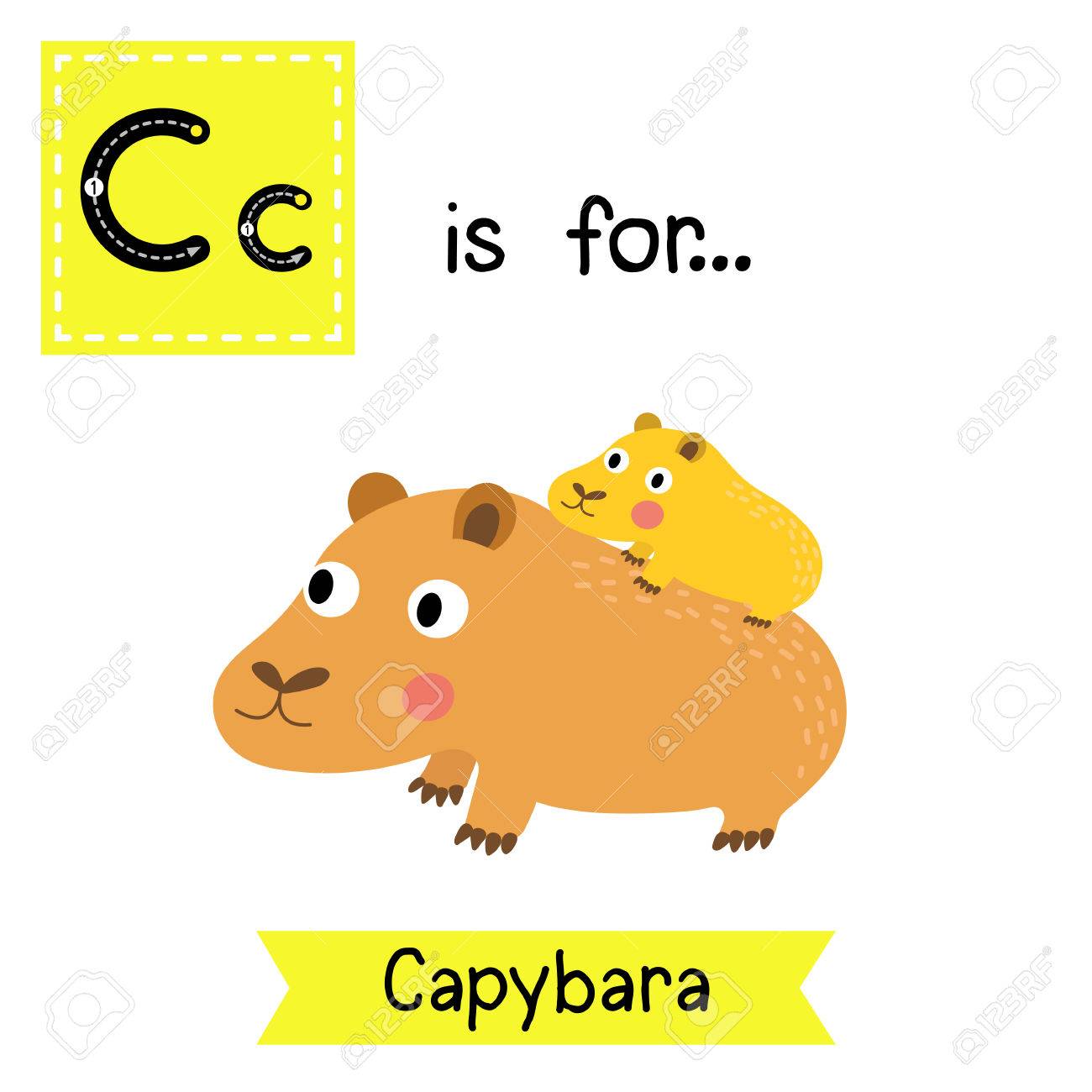 C の文字のトレース カピバラ母と子 かわいい子供動物園アルファベット フラッシュ カード 面白い漫画の動物 Abc 教育を子供たちには 英語の語彙を学習します イラスト のイラスト素材 ベクタ Image