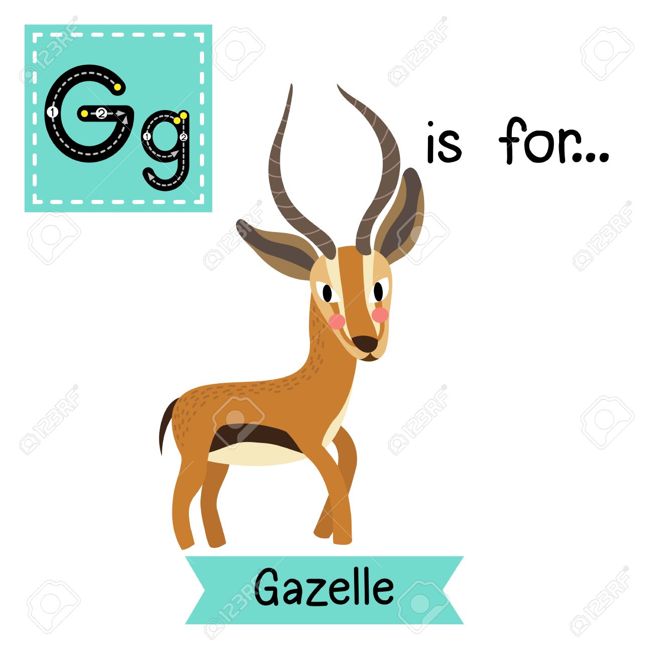 G 文字のトレース ガゼルを立っています かわいい子供動物園アルファベット フラッシュ カード 面白い漫画の動物 Abc 教育を子供たちには 英語の語彙を学習します イラスト のイラスト素材 ベクタ Image