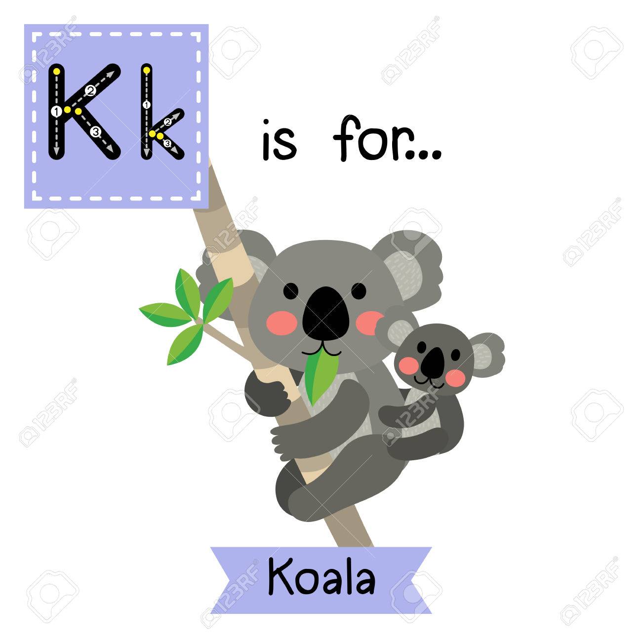 K Carta De Rastreo Oso Koala Y Bebe Koala Tarjeta De Destello Del Alfabeto Ninos Zoologico Lindo Animales Divertidos Dibujos Animados Los Ninos De Educacion Abc Aprender Vocabulario Ingles Ilustracion Ilustraciones Vectoriales