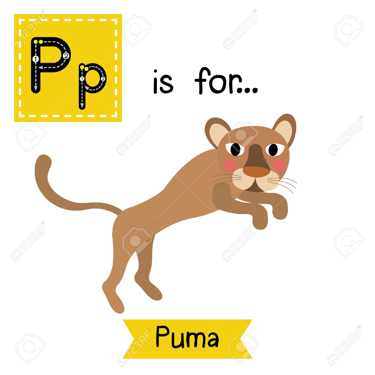 puma p