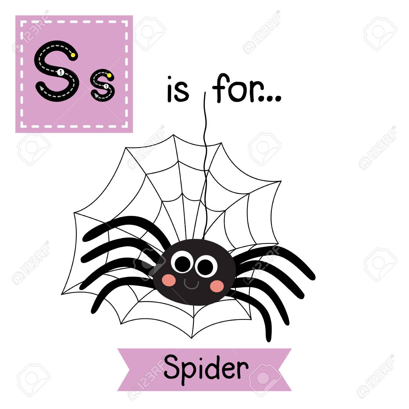 S Letter Tracing Black Spider With Spider Web Cute Children Zoo Alphabet Flash Card Funny Cartoon Animal Kids Abc Education Learning English Vocabulary Illustration Royalty Free Svg Cliparts Vectors And Stock Illustration